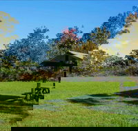 Tunks Hill picnic area - Inverell Accommodation