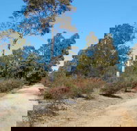 Werakata National Park - Inverell Accommodation