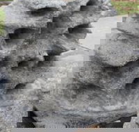 Windara Reef - Inverell Accommodation