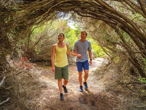 Woody Island Nature Reserve - Inverell Accommodation 1