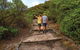 Woody Island Nature Reserve - thumb 2