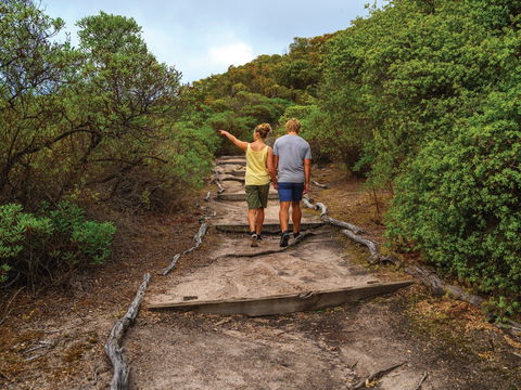 Woody Island Nature Reserve - Inverell Accommodation 2