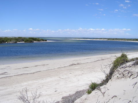 Acraman Creek Conservation Park - Inverell Accommodation 0