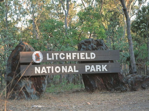 Bamboo Creek Tin Mine - Inverell Accommodation 1