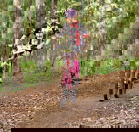 Bom Bom State Forest Mountain Bike Trails - Inverell Accommodation