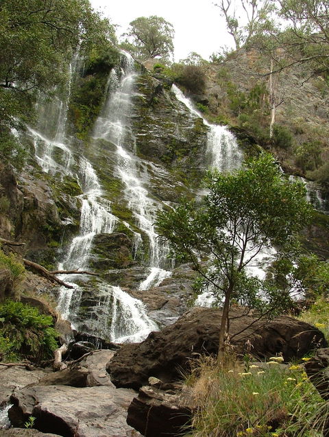 Buddong Falls Walking Track - Inverell Accommodation 0