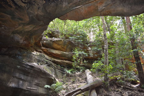 Cave Creek Walking Track - Inverell Accommodation 0