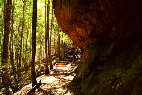 Cave Creek Walking Track - Inverell Accommodation 1