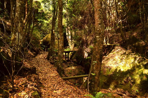 Cave Creek Walking Track - Inverell Accommodation 2