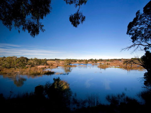 Cecil Hoskins Nature Reserve - Inverell Accommodation 0