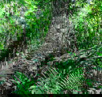 Djiru National Park - Inverell Accommodation