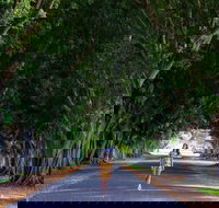 Fig Tree Avenue - Inverell Accommodation