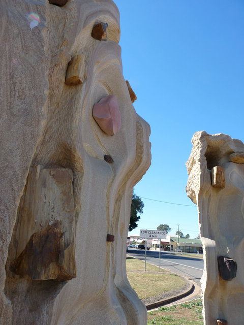 Fossilised Forrest Sculptures - Inverell Accommodation 2