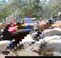 Haigslea EWE Nique Hobby Farm - Inverell Accommodation