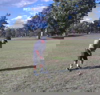 Inverell Golf Club - Inverell Accommodation