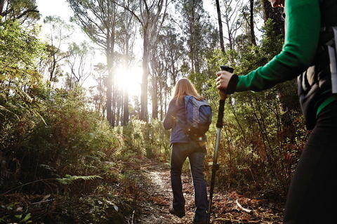 Kinglake National Park - Inverell Accommodation 0