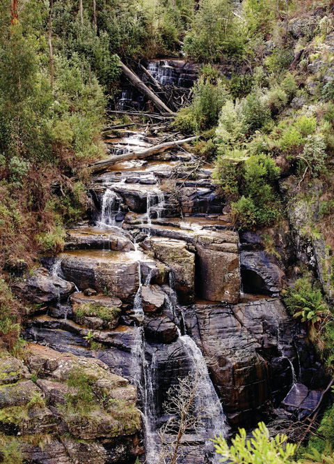 Kinglake National Park - Inverell Accommodation 1