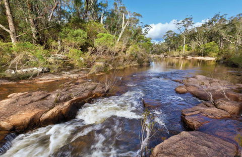 Little Dandahra Creek Walking Track - Inverell Accommodation 0