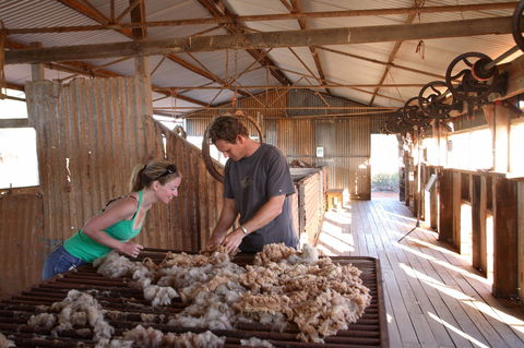 Peron Homestead - Inverell Accommodation 0