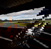 Reed Beds Bird Hide Boardwalk - Inverell Accommodation