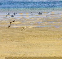 Towra Beach - Inverell Accommodation