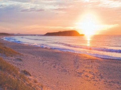 Warilla Beach: Shellharbour - Inverell Accommodation 0