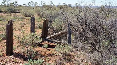 Winnecke Goldfield Cemetery - Inverell Accommodation 2