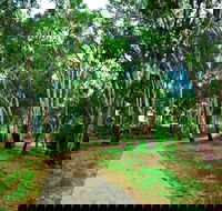 Adungadoo Pathway - Inverell Accommodation