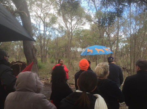 Bindjareb Cultural Park - Inverell Accommodation 2