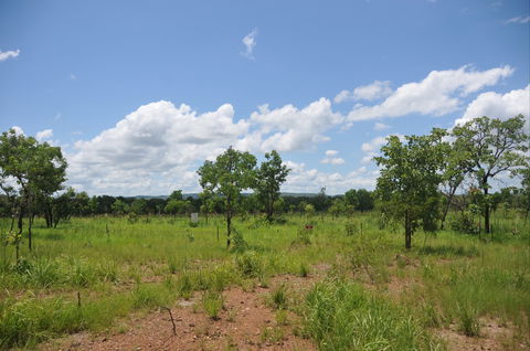 Brocks Creek Chinatown And Temple Site - Inverell Accommodation 1