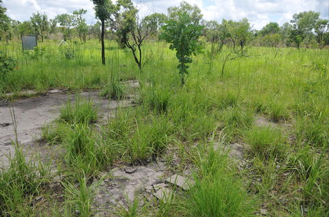 Brocks Creek Chinatown And Temple Site - Inverell Accommodation 2