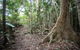 Cape Hillsborough National Park - thumb 2