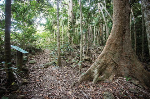 Cape Hillsborough National Park - Inverell Accommodation 2