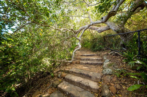 Capricorn Coast National Park - Inverell Accommodation 2