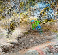 Castle Hill Blackstone Reserve - Inverell Accommodation