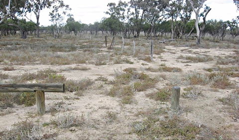 Culgoa Connellys Track - Inverell Accommodation 0