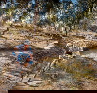 Cycle Mogo State Forest - Inverell Accommodation