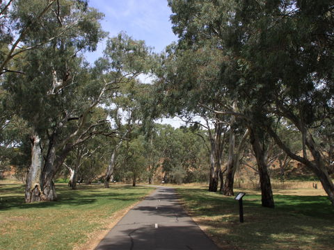 Dead Mans Pass - Inverell Accommodation 0