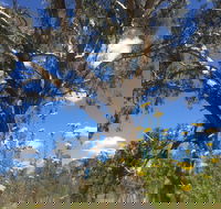 Euroa Arboretum - Inverell Accommodation