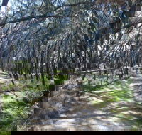 Federation Walk - Inverell Accommodation