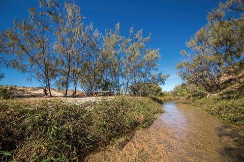 Freshwater Creek Track, Byfield National Park - Inverell Accommodation 0
