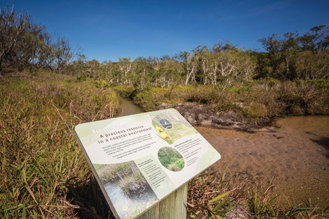 Freshwater Creek Track, Byfield National Park - Inverell Accommodation 1