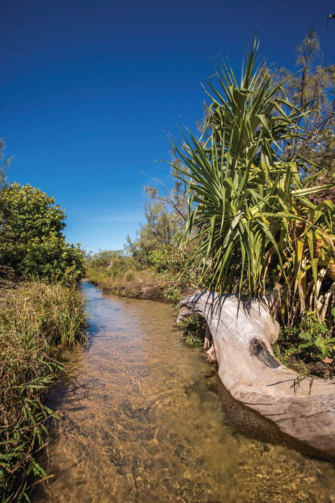Freshwater Creek Track, Byfield National Park - Inverell Accommodation 2