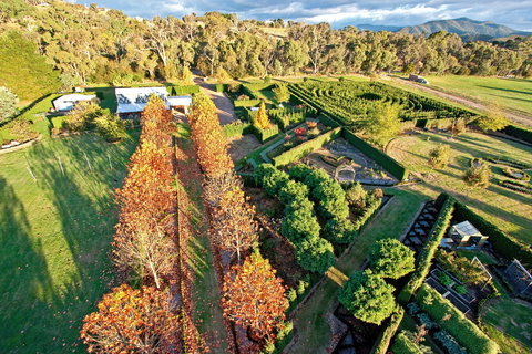 High Country Maze - Inverell Accommodation 1