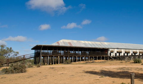 Kinchega Woolshed - Inverell Accommodation 0