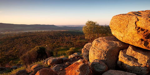 Mount Brown Lookout - Inverell Accommodation 0
