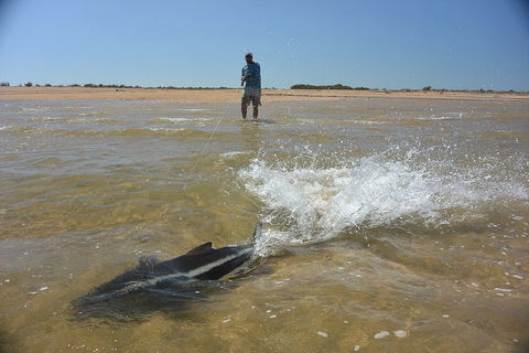 Ningaloo Fly Fishing - Inverell Accommodation 2