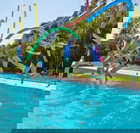 Oaklands War Memorial Swimming Pool - Inverell Accommodation