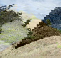 Pieries Peak Walking Track - Inverell Accommodation