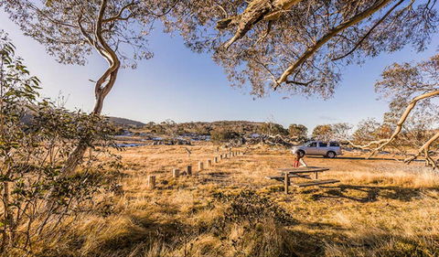 Rennix Walking Track - Inverell Accommodation 0